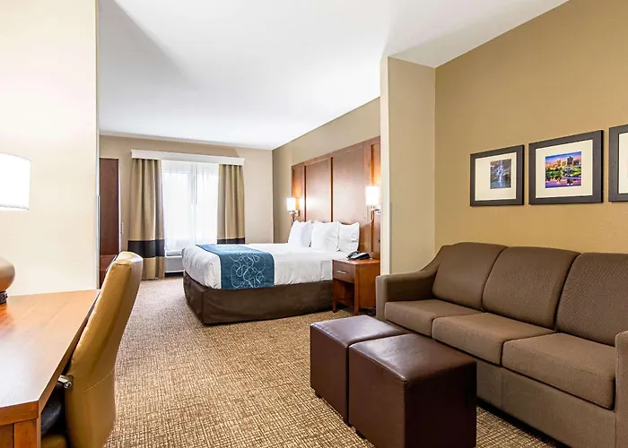 Comfort Inn & Suites Pine Bluff