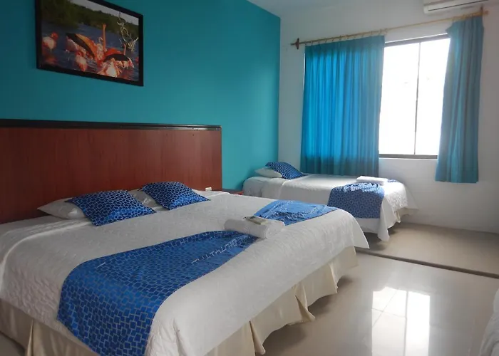 Hotel La Gran Tortuga - ᯤ Starlink
