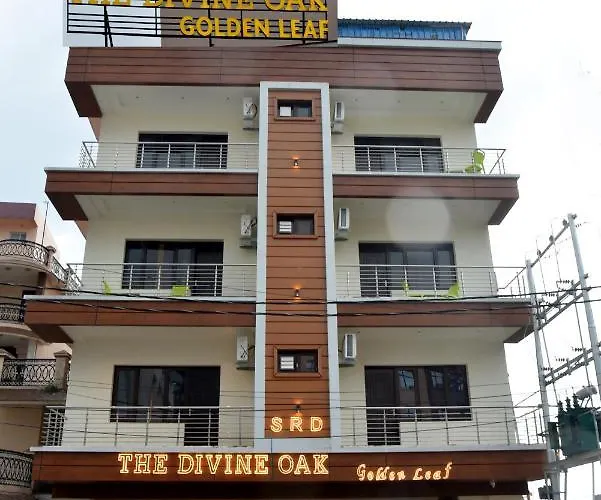 The Divine Oak Golden Leaf