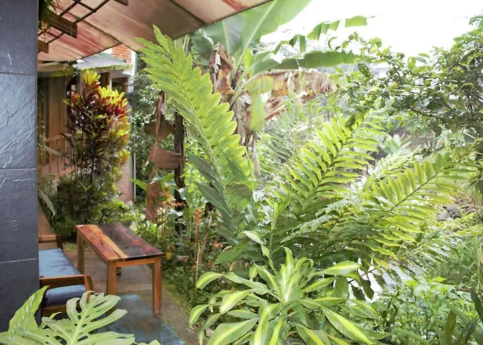 Hostal Zafiro Mindo