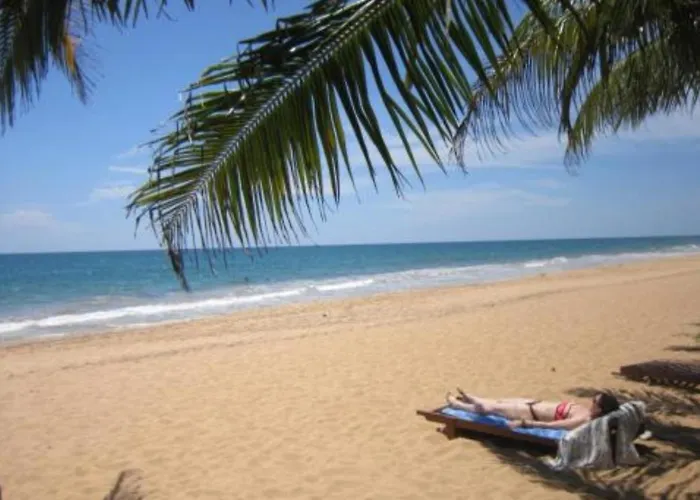 Janus Paradise Rest