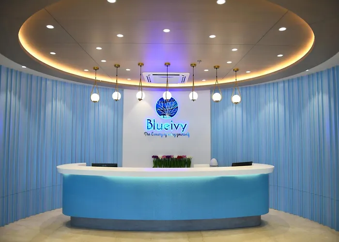 Hotel Blueivy Anand