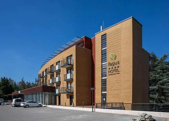Fagus Hotel Conference & Spa