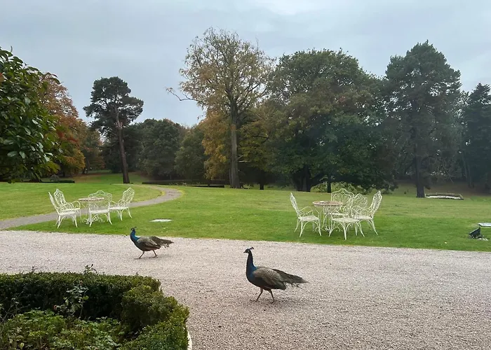 Rossington Hall