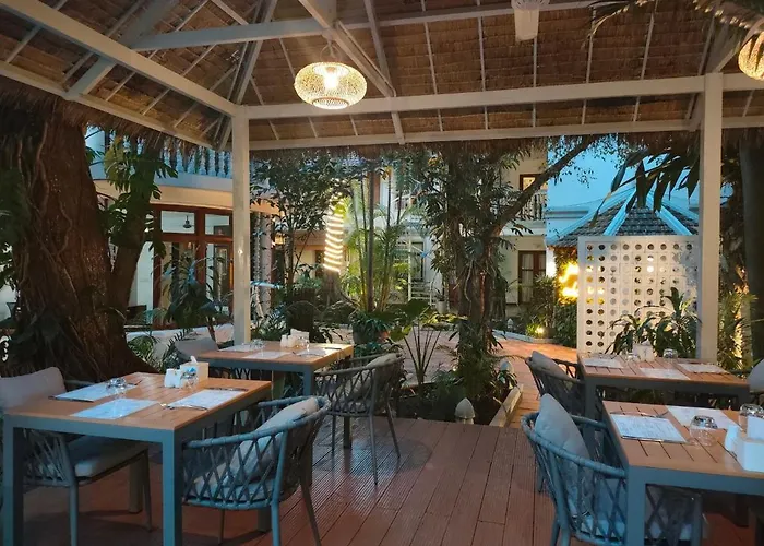 Jungle Addition