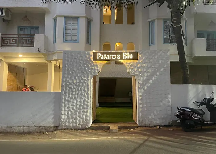 Pajaros Blu