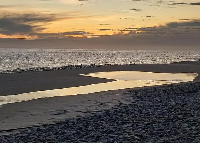 Lirios da Vila Pousada