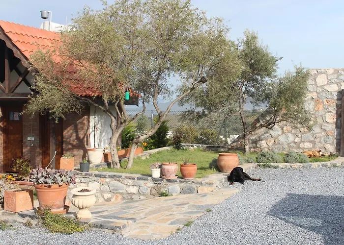 Olive Garden Retreat