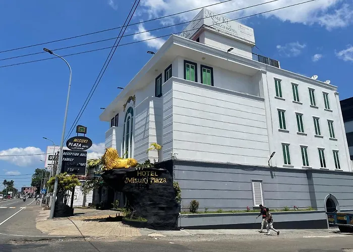Hotel Misuki