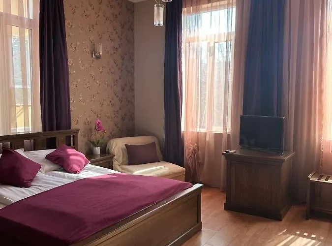 Vidin Hotel