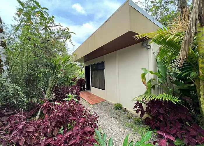 Hotel Rio Celeste To Know