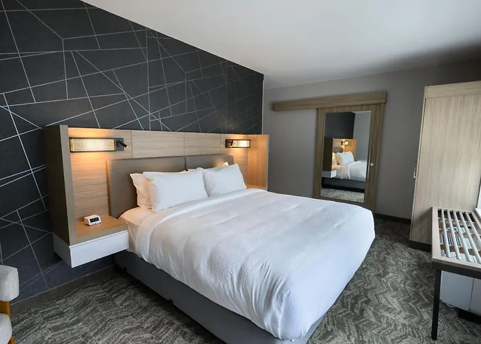 Springhill Suites By Marriott Colorado Springs Downtown