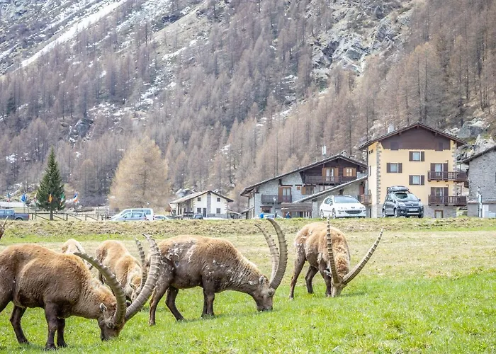 Albergo Gran Paradiso