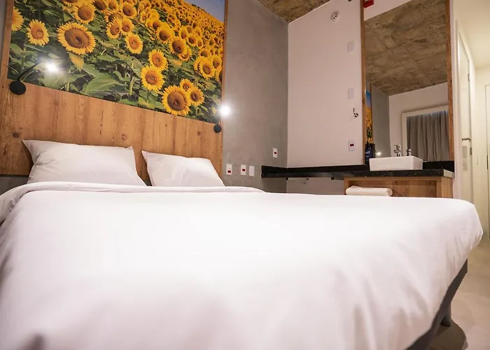 Campos De Holambra Inn