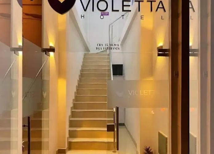 Hotel Violetta Cerete