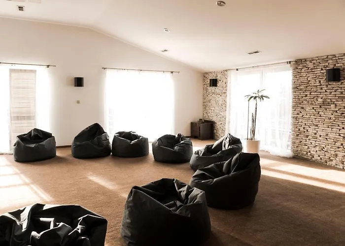 Hotel Borowina