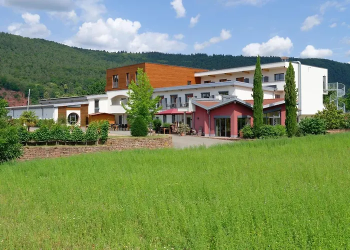 Main-Vinotel Weingut Helmstetter