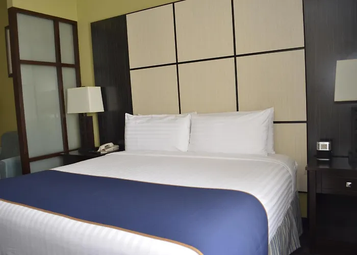 Super 8 By Wyndham Irving/Dfw Apt/North