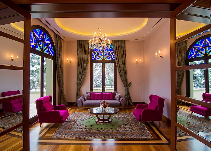 Hotel Celik Palas Convention Center & Thermal Spa