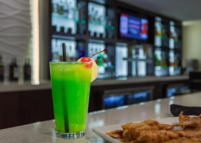 Holiday Inn Austin -Town Lake By Ihg