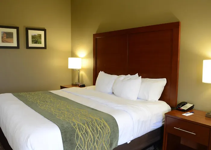 Comfort Inn & Suites Cave City