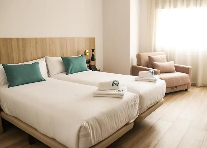 Hotel Narcea