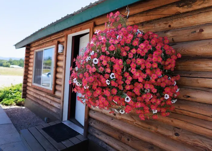 Big Medicine Cabins