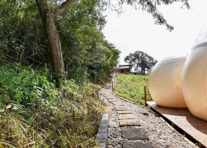 Bubble Pingo do Mula Serra da Canastra