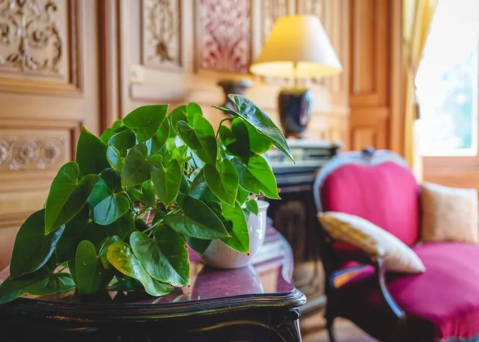 Chateau La Comtesse De Loire & Spa