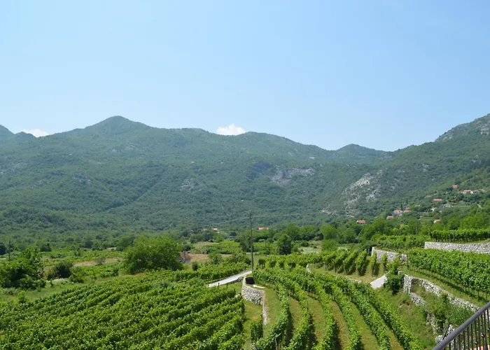 Markovic Winery And Estate Apartments