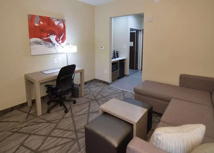 Comfort Inn & Suites Houston I-45 North - Iah