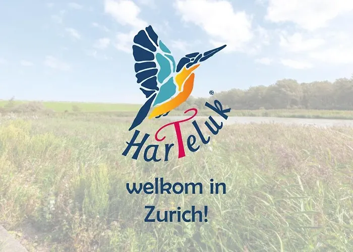 Harteluk Afsluitdijk Zurich