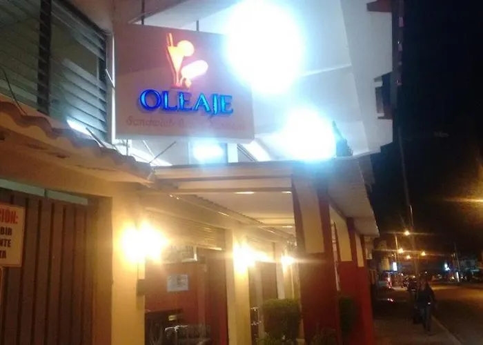 Hotel Cisne II