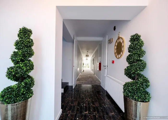 Tesa Boutique Hotel