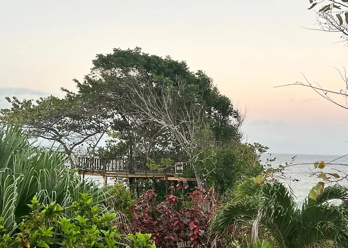 Jamaica Colors Hotel And Eco-Retreat