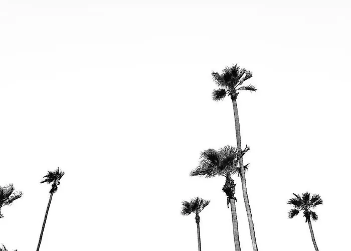 Jazz Hotel Palm Springs