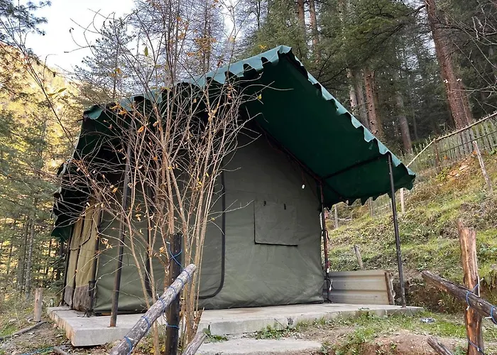 Kasol Jungle Retreat