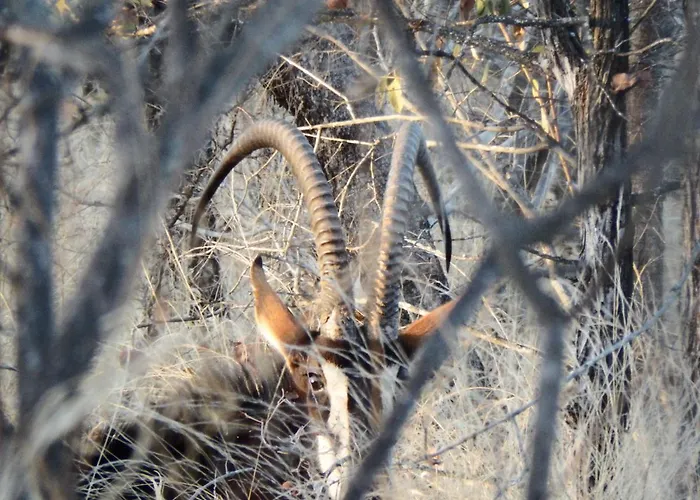 Selwane Nature Reserve