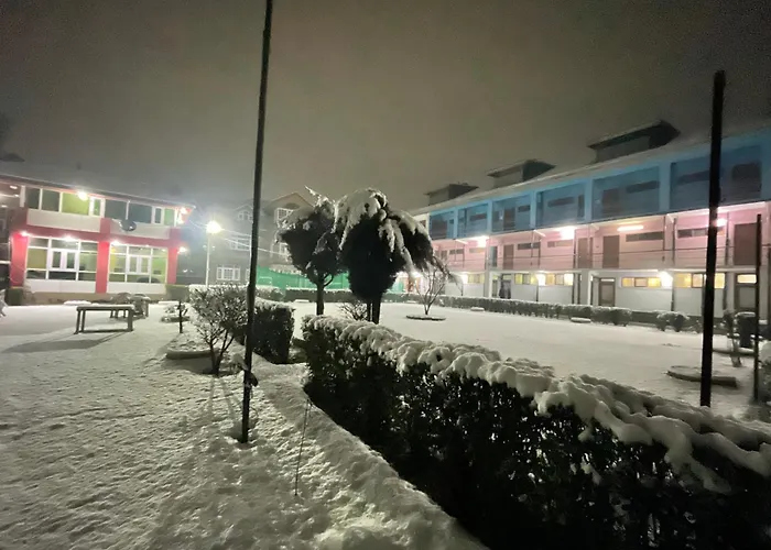Hotel New Sahil - Srinagar