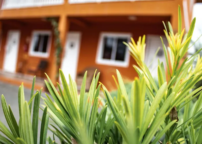 Apartamentos De Altitude Urubici