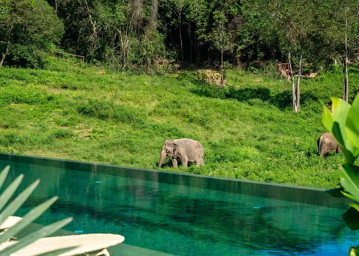 Wild Cottages Elephant Sanctuary Resort