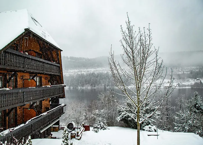 Alemannenhof - Boutique Hotel Am Titisee