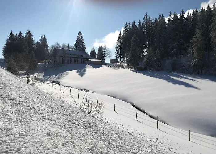 Waldhotel Auerhahn Hochkopfhaus