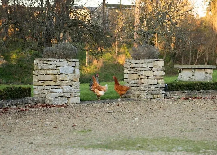 Dove House Cottages - No 1