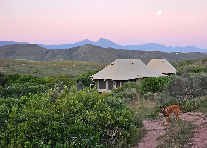 Garden Route Safari Camp