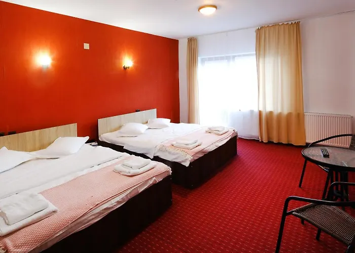 Pensiunea Montan Din Bran,Sat Simon Spa Indoor