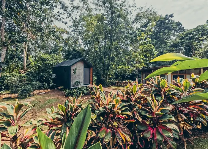 Tagua Lodge