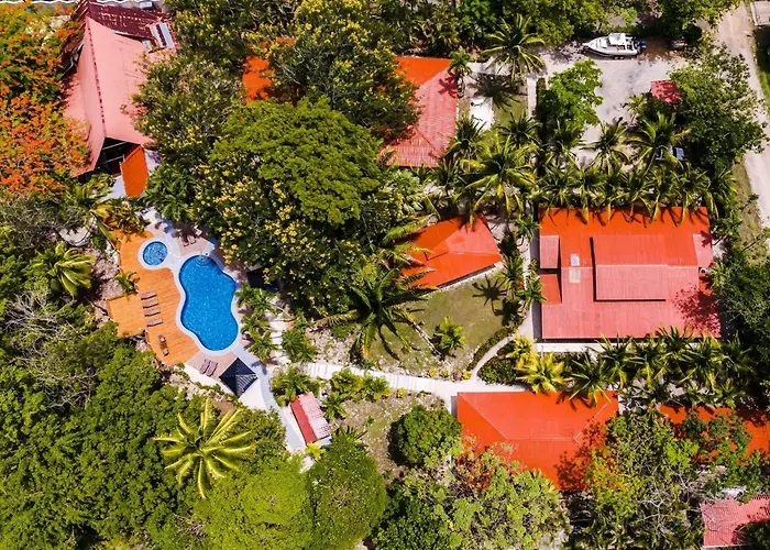 El Sueno Tropical