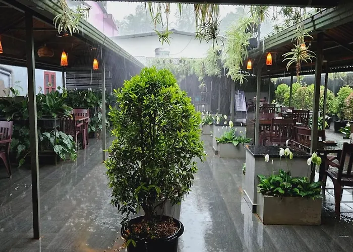 Hotel Mayo
