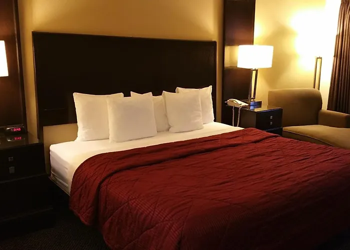 Cedars Inn
